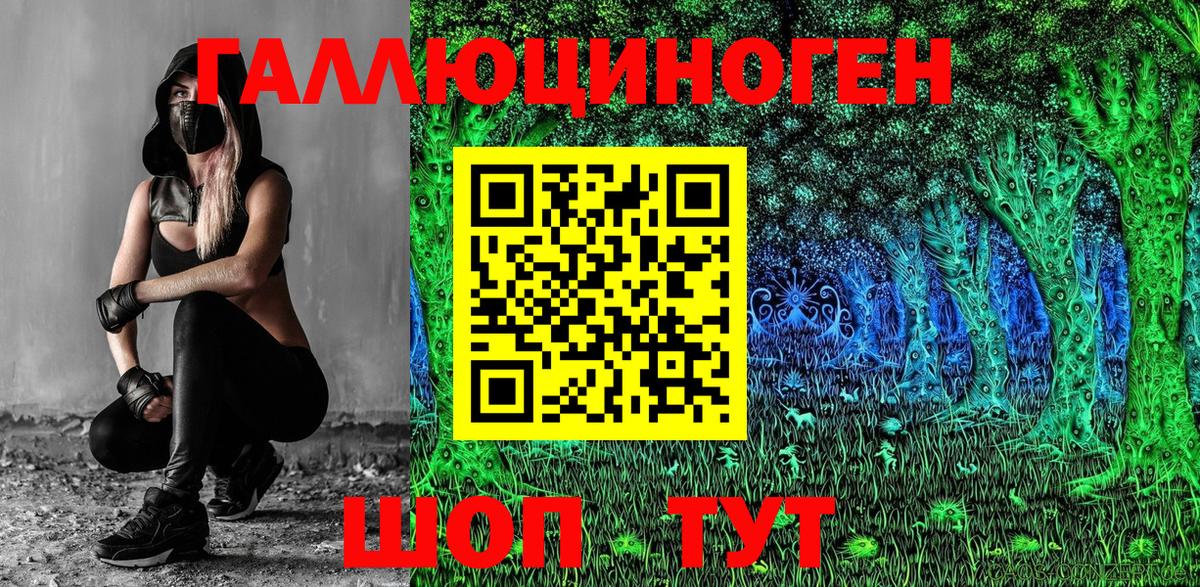 Галлюциногенные грибы Cubensis Сосновый Бор