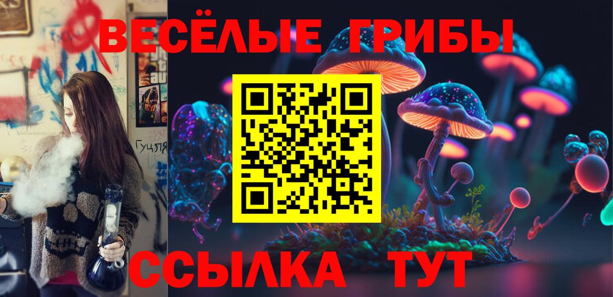 где можно купить   Вход с VPN  Сосновый Бор  Псилоцибиновые грибы мухоморы 